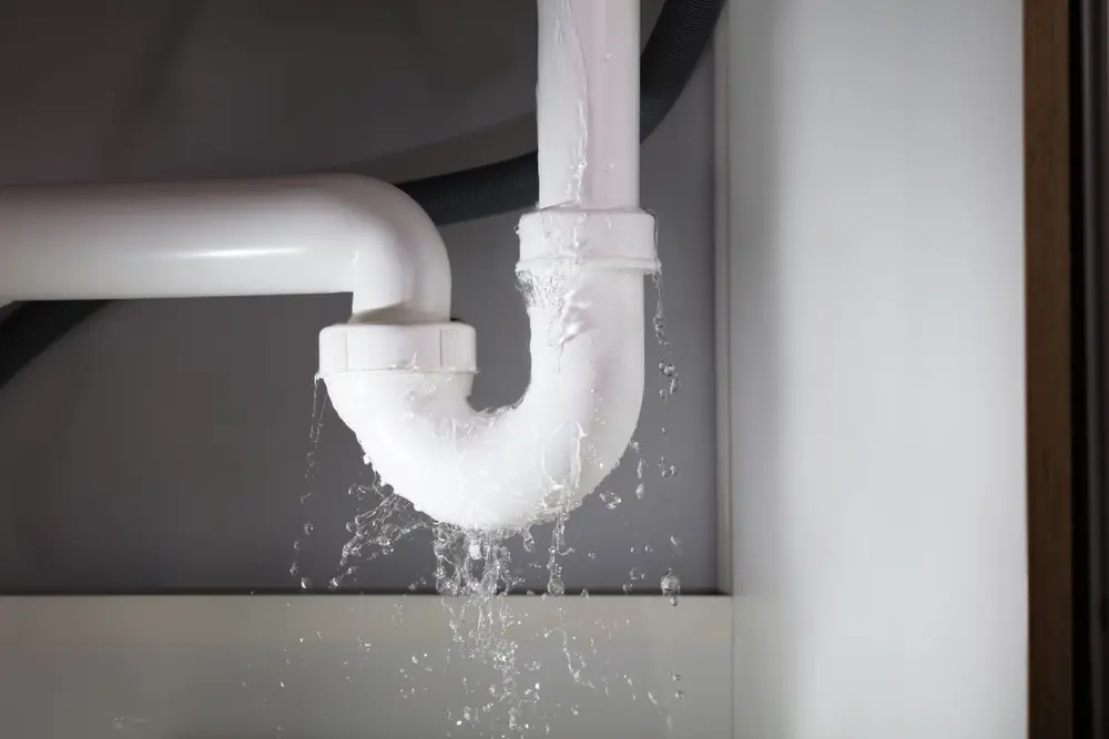 Comprehensive Urgent Diagnostics That Protect Your Property at Raul's Plumbing